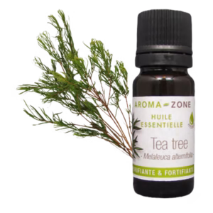 tea tree